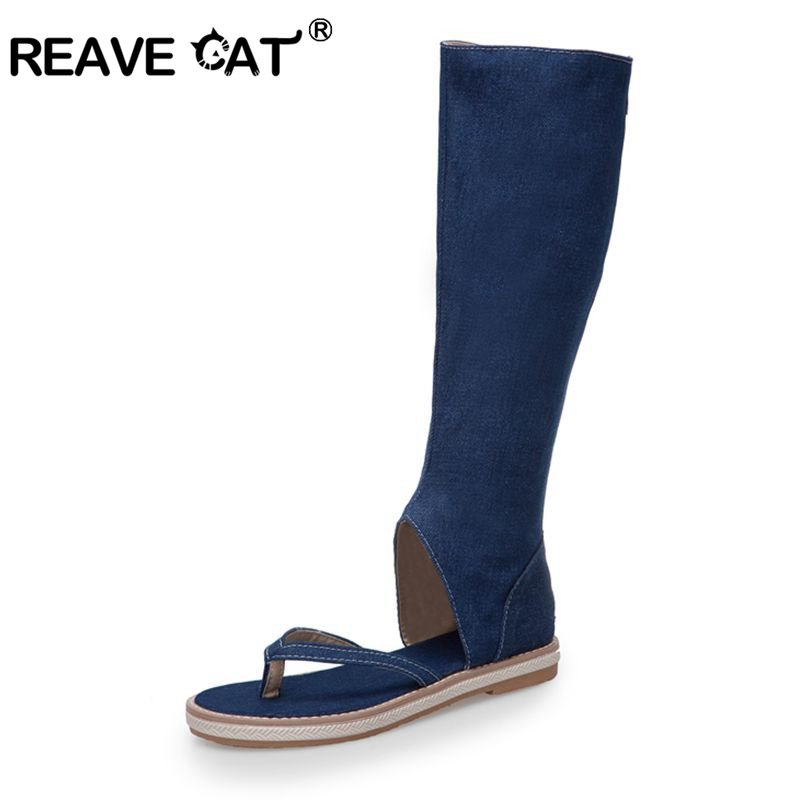 REAVE CAT Schuhe Clip Toe Sand – Women'S Shoes Kitten Heels Bewertung und Preis